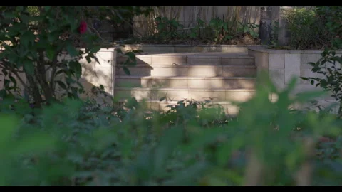 Stone Steps in Garden with Foliage Framing for Mindfulness Background Use Stock Footage 328094914