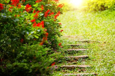 Stone steps in garden Stock Photos