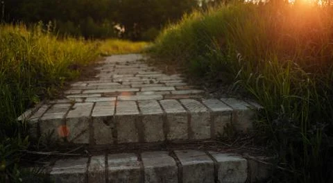 Stone steps in the grass with the sun Stock Photos