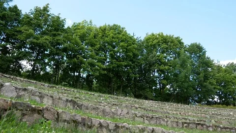Stone steps on the green grass. Large trees Stock Footage