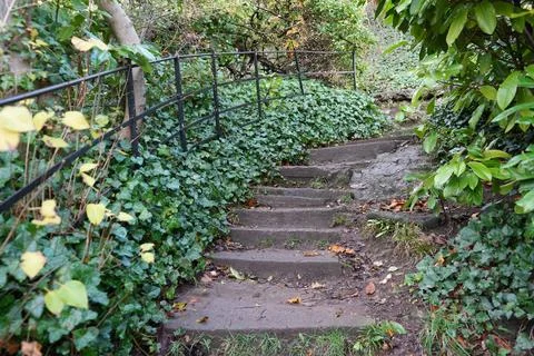 Stone Steps With Iron Railing Through Lush Ivy And Woodland In Dyserth, North Stock Photos