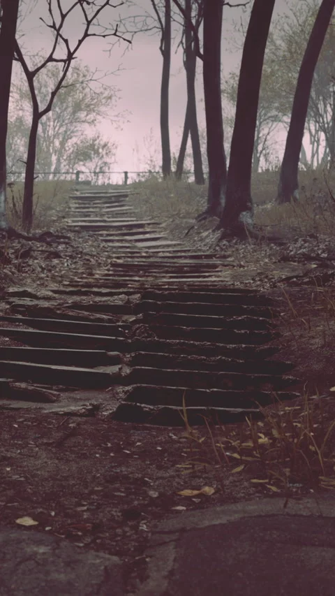 Stone steps lead up a path through a forest during cloudy weather Stock Footage 338416673