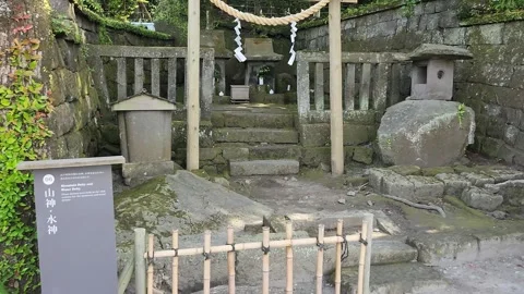 Stone steps lead to a shrine gate with bamboo fence 動画素材 337697366