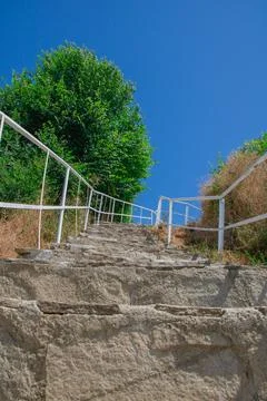 Stone steps lead upward through green foliage under a clear blue sky Stock Photos