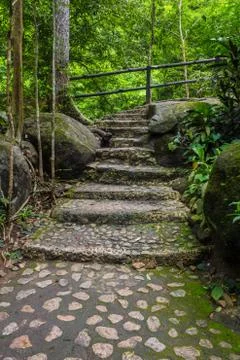 Stone steps that lead to a waterfall in the deep forest. Stock Photos