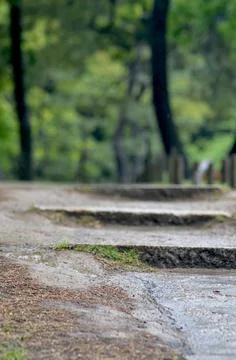Stone steps leading in to a forest Stock Photos