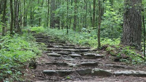 Stone Steps Leading Up 스톡 사진