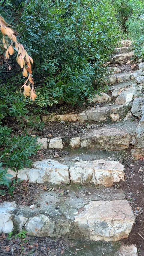 Stone steps leading through lush greenery in vertical format, ideal for bac.. Stock Footage 328585194