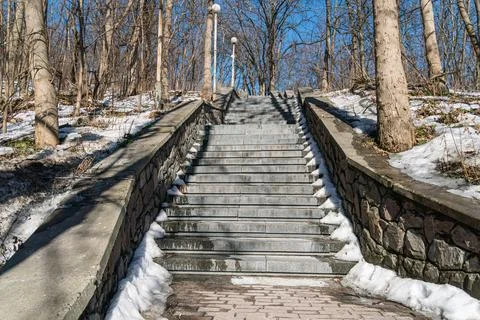 Stone steps leading upwards, bordered by stone walls, set amidst bare trees a Stock Photos