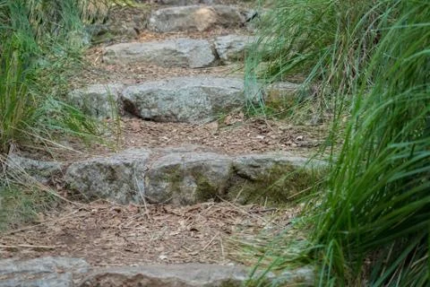 Stone steps in the middle of the park Stock Photos