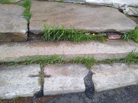 Stone steps of an old staircase in the grass Stock Photos