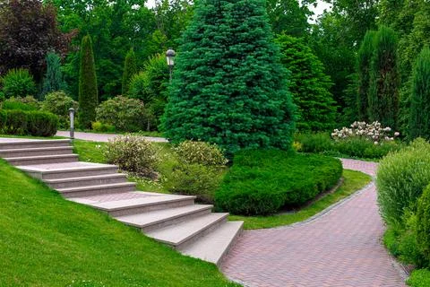 Stone steps to path from paving slabs in park on slope. Stock Photos