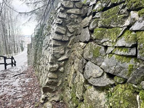 Stone Steps Pathway in Forest After Rain. Stock Photos