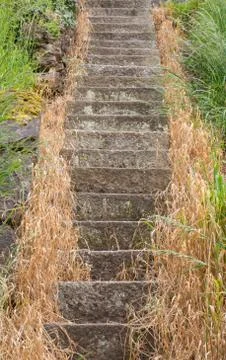 Stone steps Stock Photos