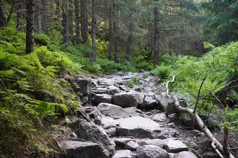 Stone steps Stock Photos
