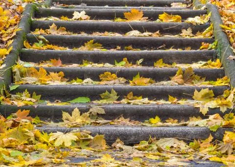Stone steps - Szentendre Stock Photos