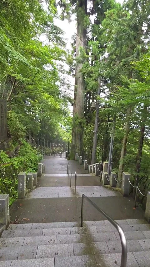 Stone Steps Through Lush Forest at Traditional Japanese Religious Site Vídeo Stock 343732576