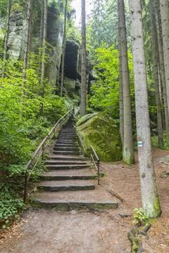 Stone steps winding through forest in Bohemian Paradise Stock-Fotos