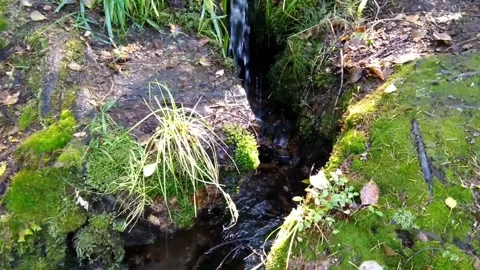 Stone stream Stock Footage 160807248