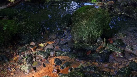 A stone in the stream overgrown with moss gets some sunlight. Stock Footage 138161342