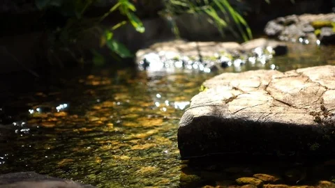 Stone in stream water with light bokeh Stock Footage 76000573
