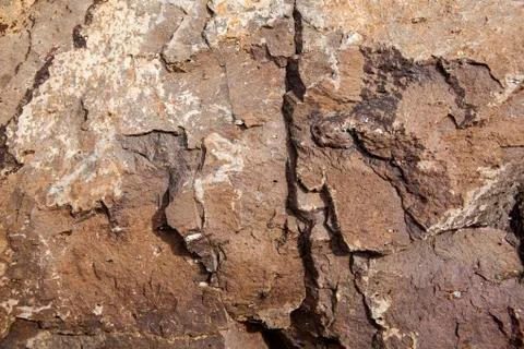 Stone structure as a background Stock Photos