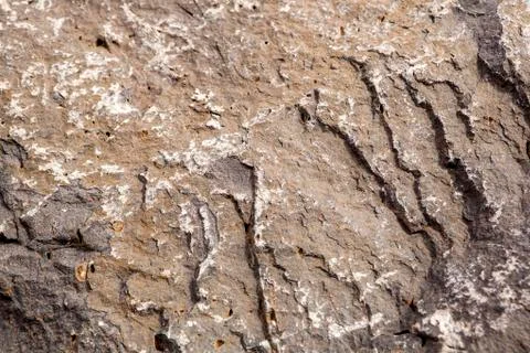 Stone structure as a background Stock Photos