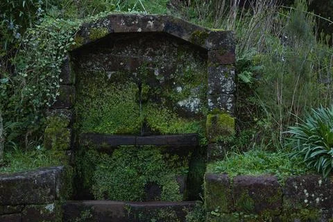 Stone structure nestled among the trees in a lush forest, covered in thick moss Stock Photos