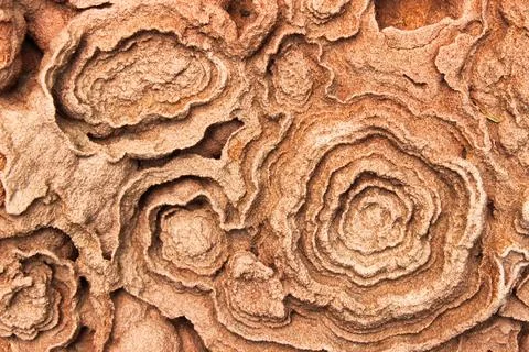 Stone Structure Stock Photos