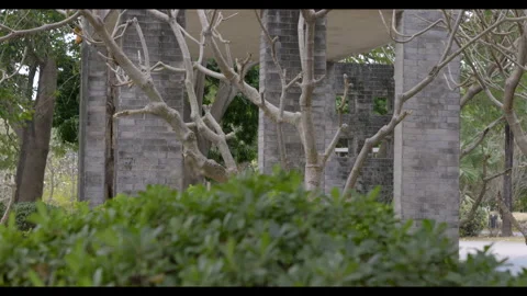 Stone Structure with Trees and Bushes for Mindfulness and Slow Living Content Stock Footage 327526987