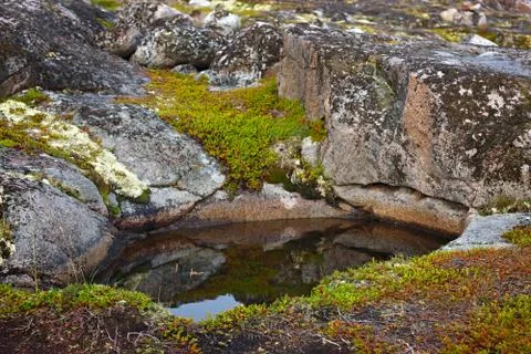Stone surface for the background Stock Photos