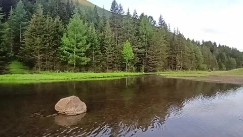 A stone on the surface of a backwater in the bed of a small river flowing 스톡 동영상 317060650