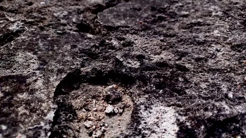 Stone surface, dark concrete slab, rough rough surface rocky,mountain,geology Video stock 279856864