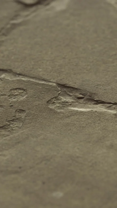 Stone surface with lines and patterns in sunlight Stock Footage 347547687