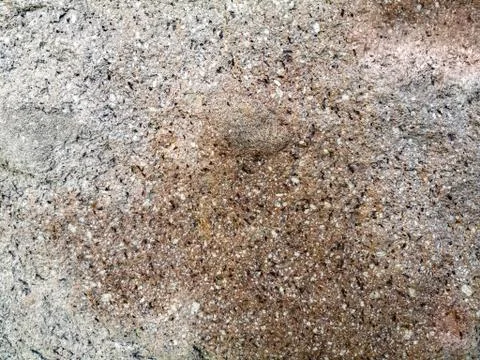 Stone surface pattern with multicolor dots and interspersed Stock Photos