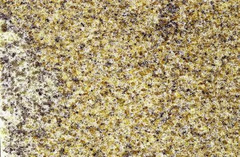 Stone surface Stock Photos