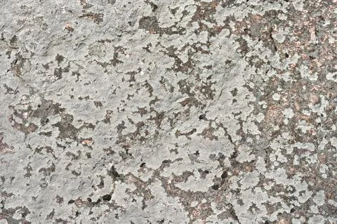 Stone surface. Stock Photos