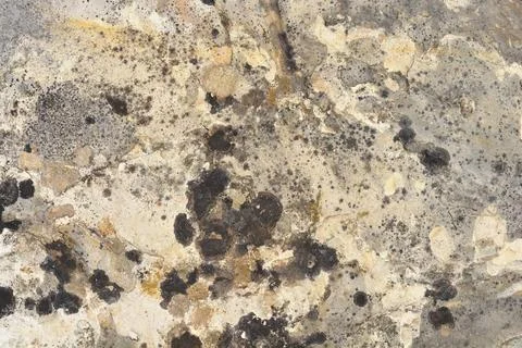 Stone surface Stock Photos