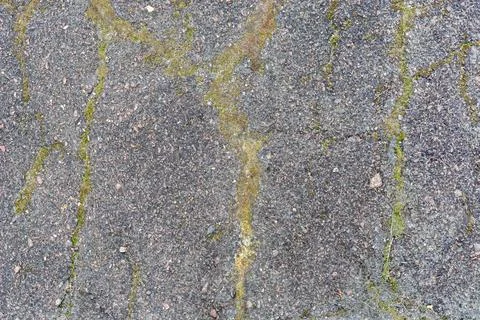 Stone surface. Stock Photos