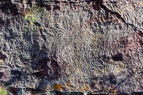 Stone surface texture for decoration background Stock Photos