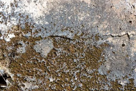 Stone surface texture for decoration background Stock Photos