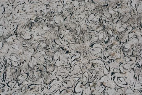 Stone surface texture unique  pattern as background rock texture Stock Photos