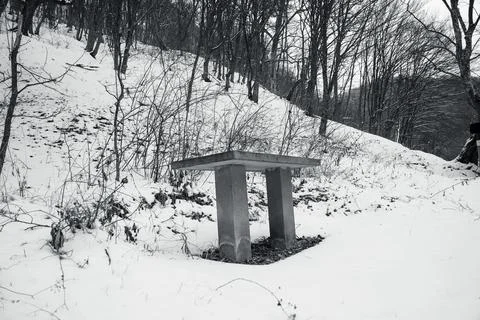 Stone table in the forested mountains, winter, mountains, forest, stone table Stock Photos