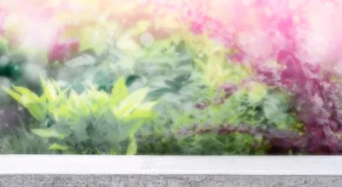 Stone table top on blur abstract green from garden in the morning Stock Photos