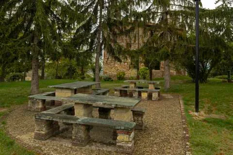 Stone table under the trees Stock Photos