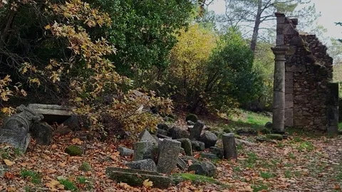 Stone temple ruins deep within a lush forest in autumn. Autumn colors and Stock Footage 341116325
