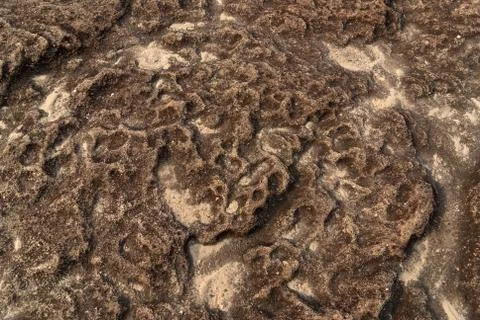 Stone texture and background Stock Photos