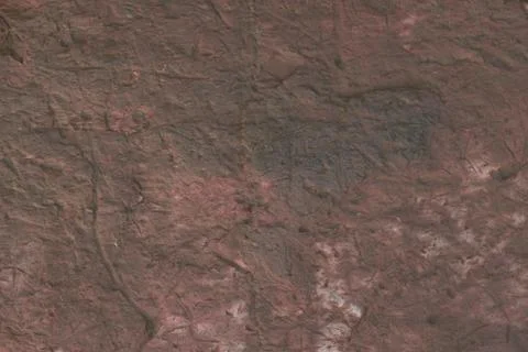 Stone texture background. Abstract dark brown pattern. Stock Photos
