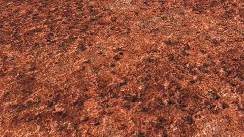 The Stone texture for Background concept 3d rendering. Stock Photos