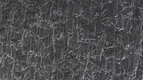 The Stone texture for Background concept 3d rendering. Stock Photos